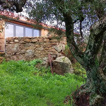 Stone Near Vale De Prazeres Hébergement de vacances *